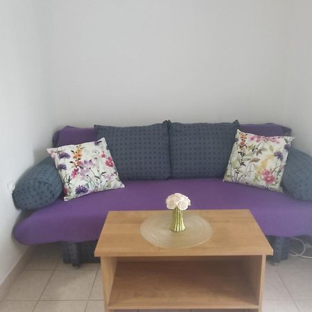 Apartment Savic 스타리그라드 파클레니차 외부 사진